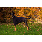 Cameo Cosy Dog Fleece Jumper - Anti Piling Washable & Water Resistant - Just Horse Riders