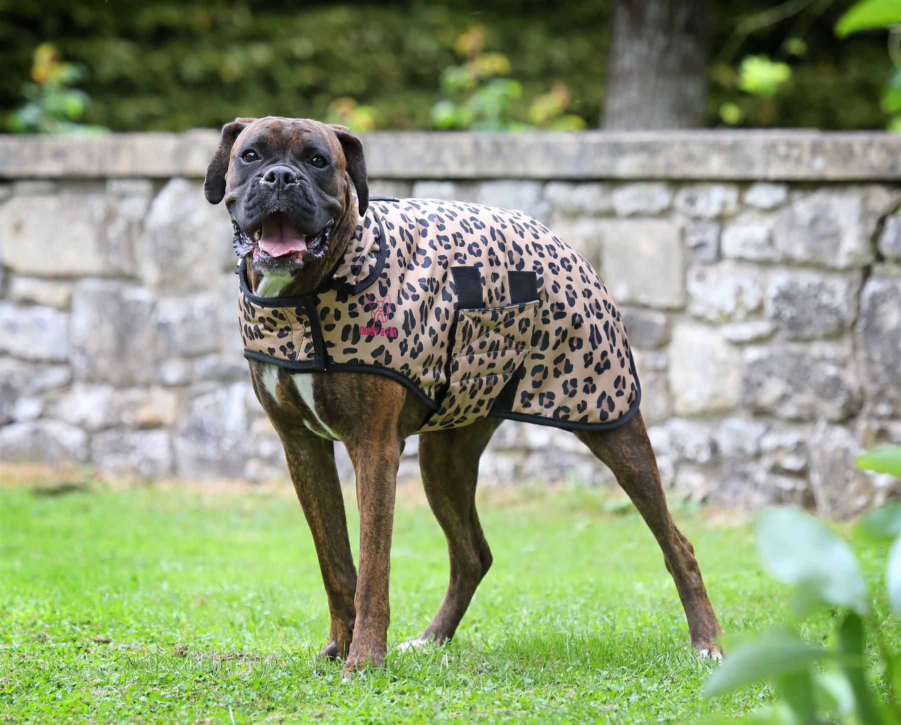 Leopard print sales dog coat