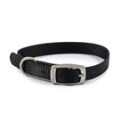 Ancol Viva Buckle Collar - Just Horse Riders