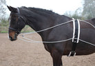 Shires Lunging Aid - Just Horse Riders