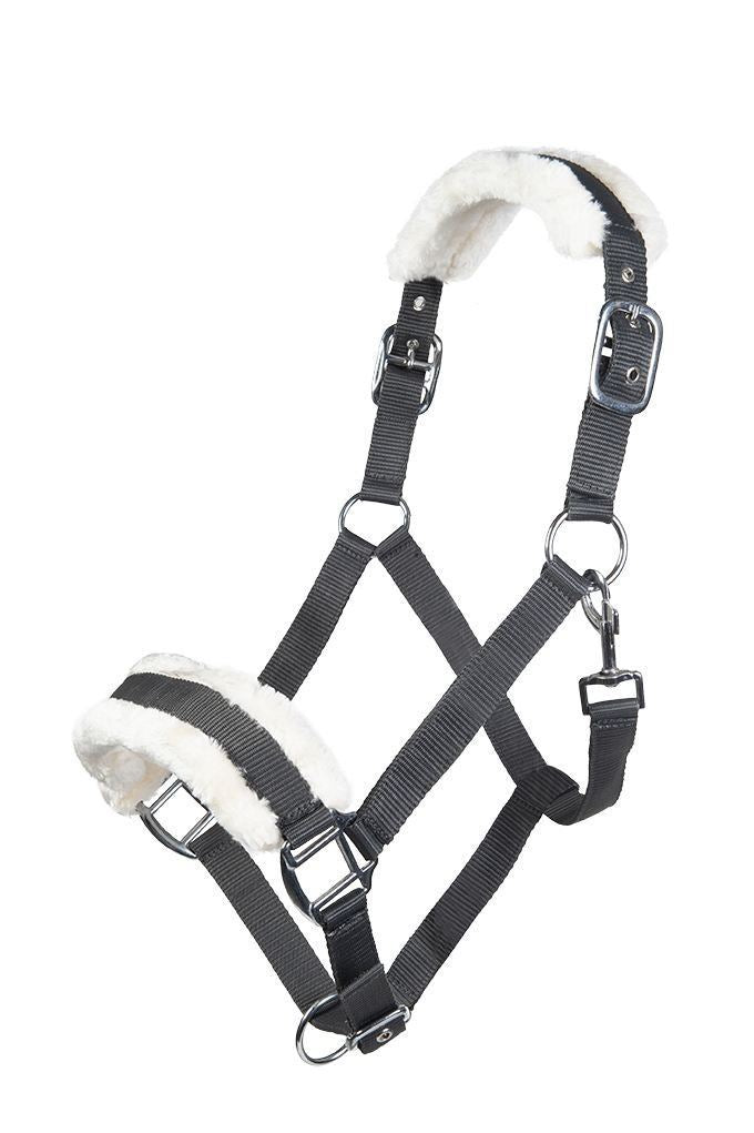 HKM Head Collar Bischofshofen With Plush Padding - Just Horse Riders