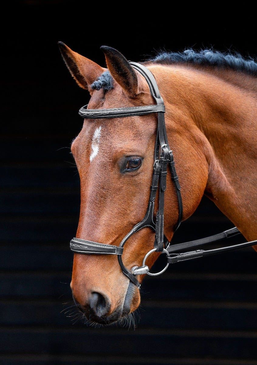 Shires Salisbury Brampton Bridle - Just Horse Riders