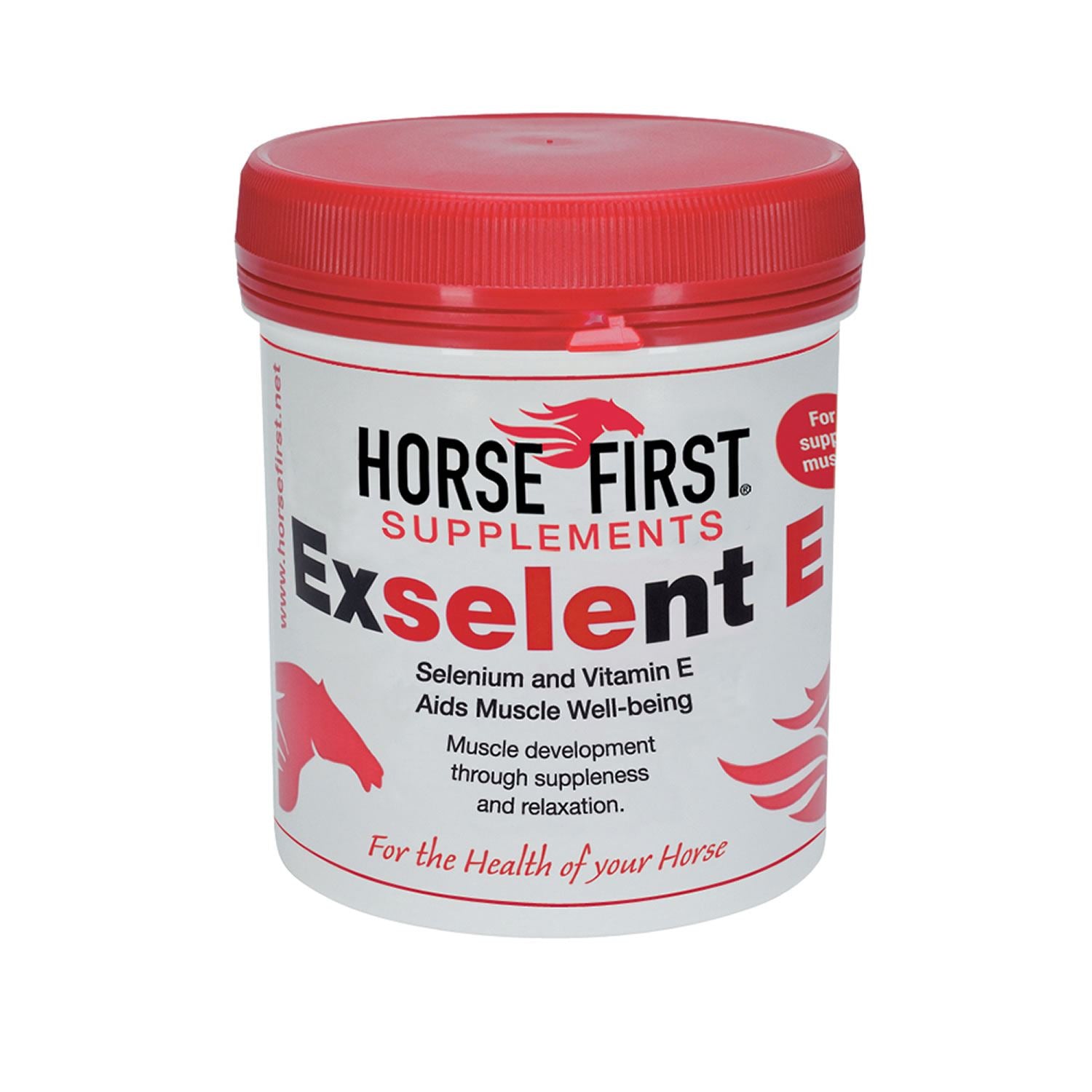 Horse First Exselent E - Just Horse Riders