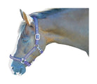 Hy Diamante Head Collar - Just Horse Riders