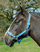 Rhinegold Nylon Headcollar - Just Horse Riders