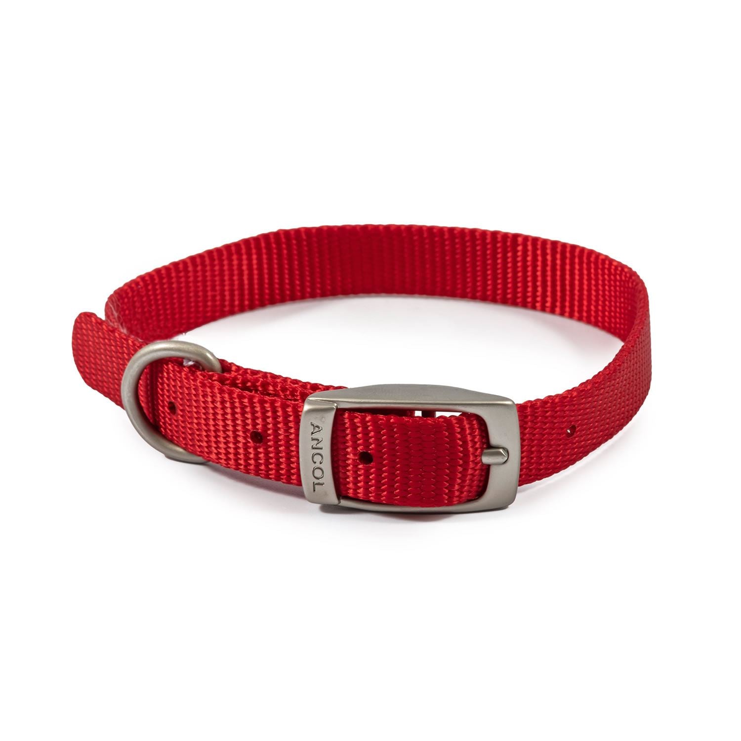 Ancol Viva Buckle Collar - Just Horse Riders