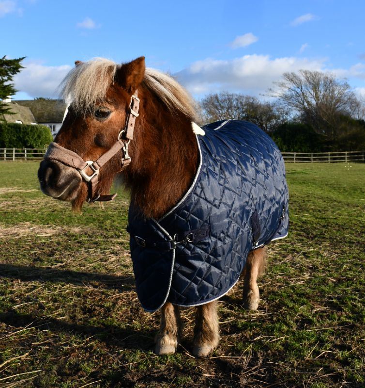 Rhinegold Foal Texas Stable Quilt - Just Horse Riders