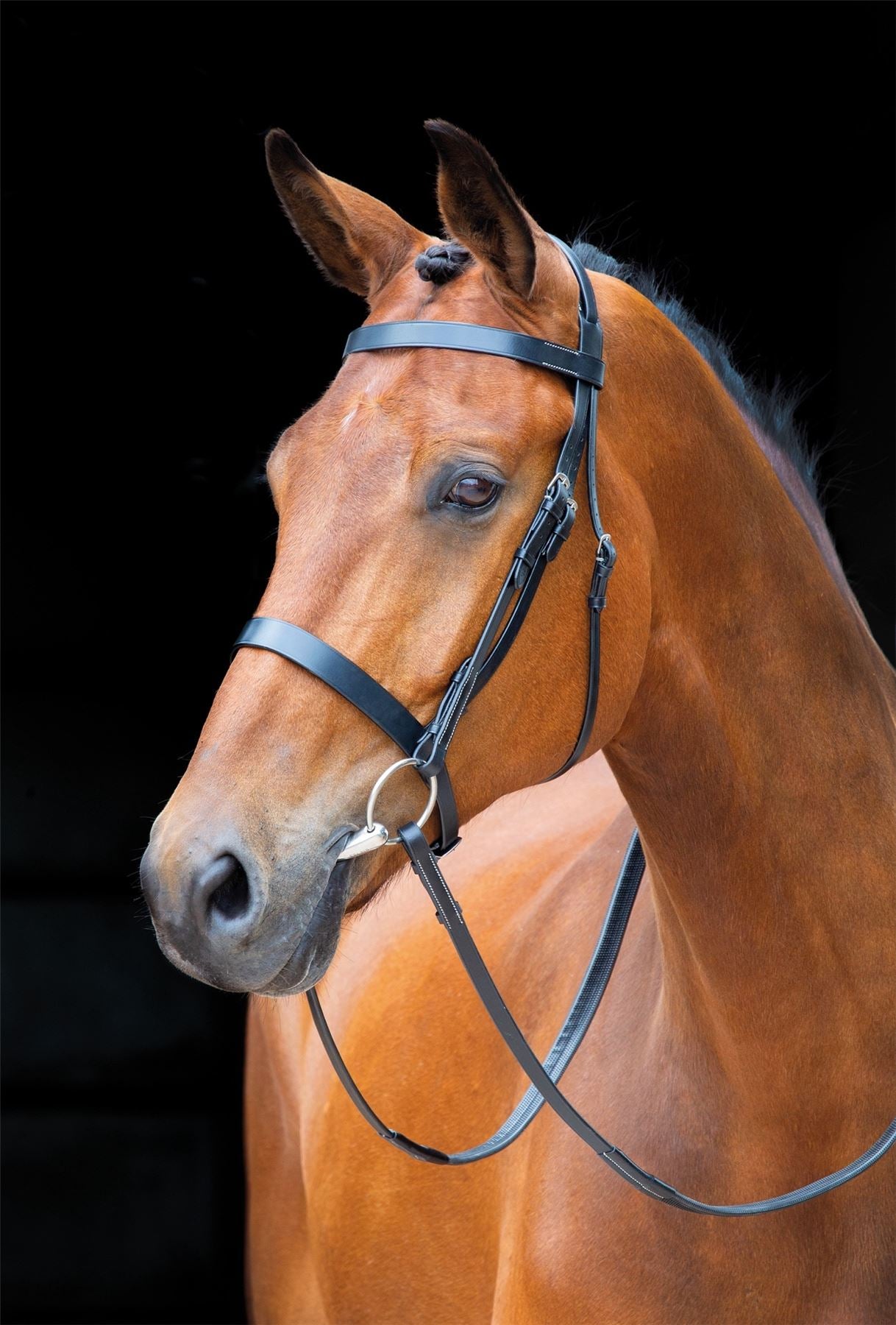 Shires Salisbury Berrington Bridle - Just Horse Riders