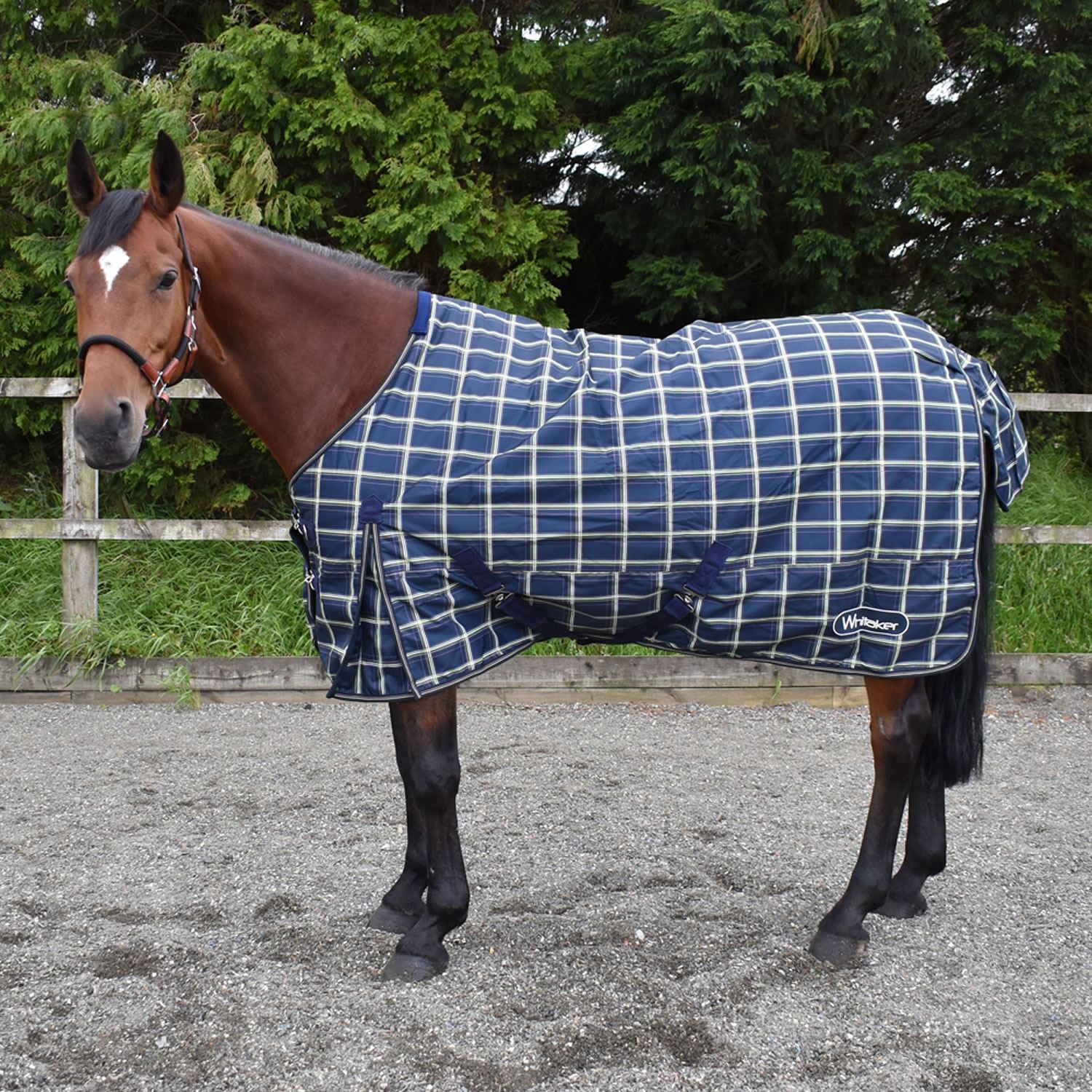 Whitaker Turnout Rug Darwen 200 Gm - Just Horse Riders