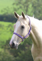 Shires Wessex Headcollar - Just Horse Riders