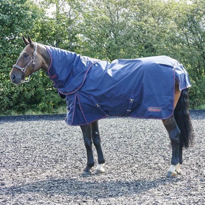 JOHN WHITAKER RASTRICK REFLECTIVE 250G COMBO TURNOUT