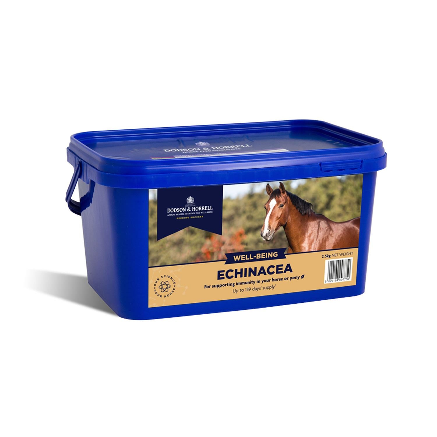 Dodson & Horrell Echinacea for immune support in horses