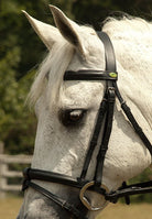 Rhinegold Bridle - Just Horse Riders