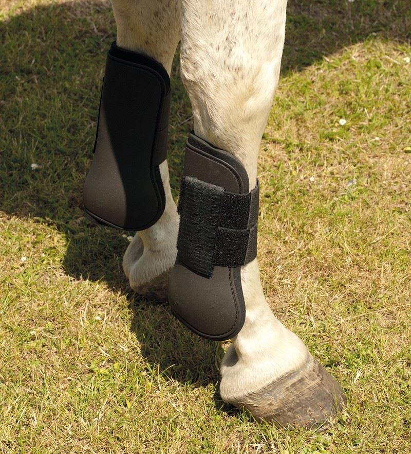 Harlequin Tendon Boots - Just Horse Riders