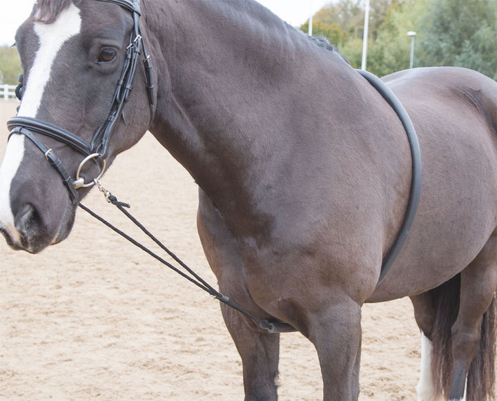 SHIRES SOFT LUNGING AID