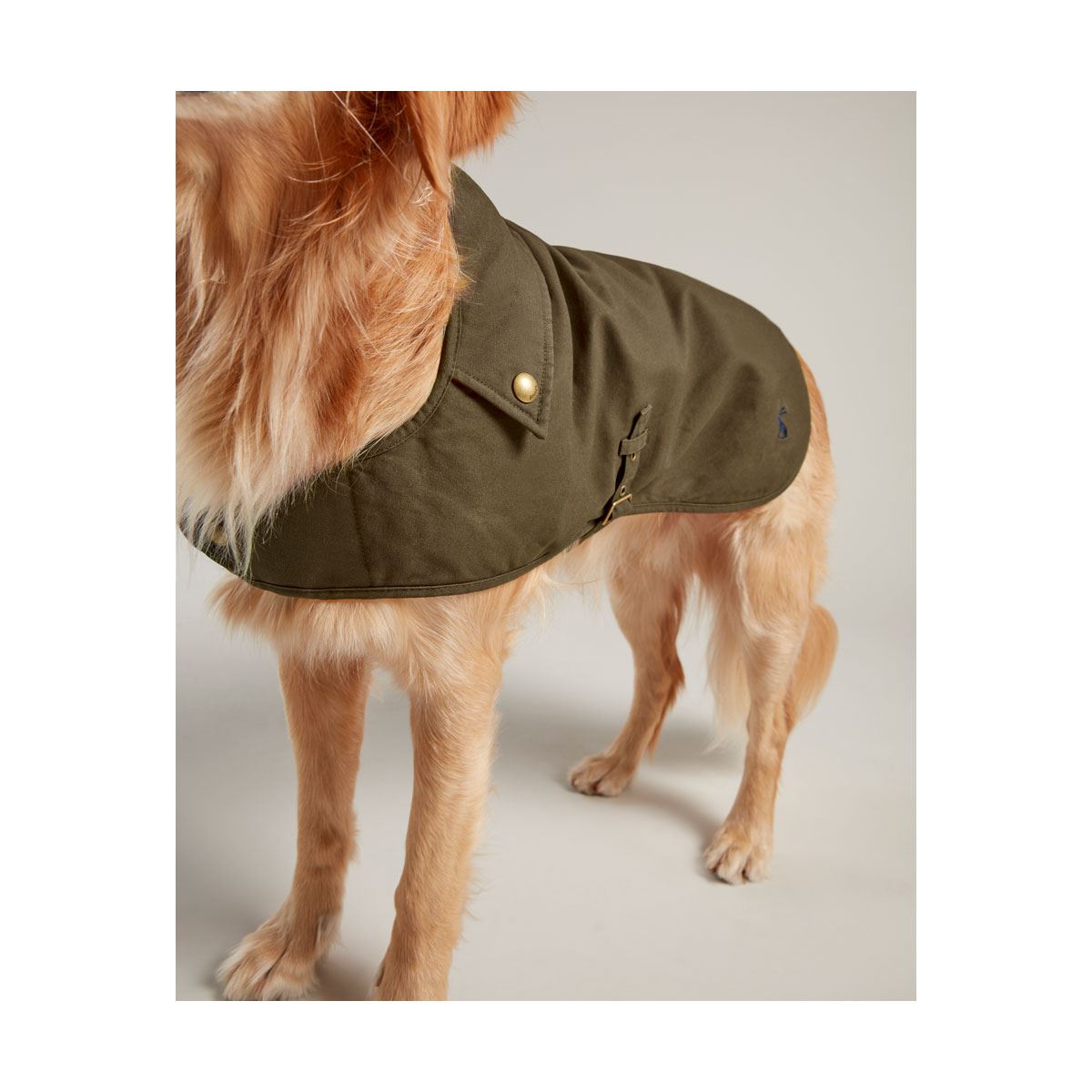 Joules Wax Dog Coat - Just Horse Riders