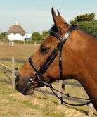 Heritage Plain Bridle - Just Horse Riders