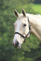 Shires Wessex Headcollar - Just Horse Riders