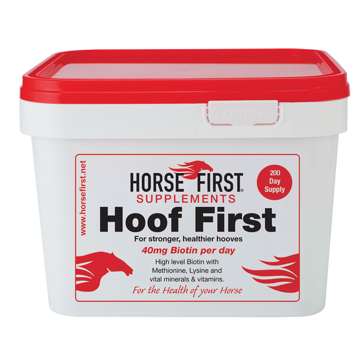 HORSE FIRST HOOF FIRST