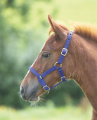 Shires Foal Headcollar - Just Horse Riders