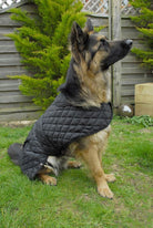 Rhinegold Balmoral Dog Coat - Just Horse Riders