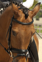 Rhinegold Comfort Bridle - Just Horse Riders