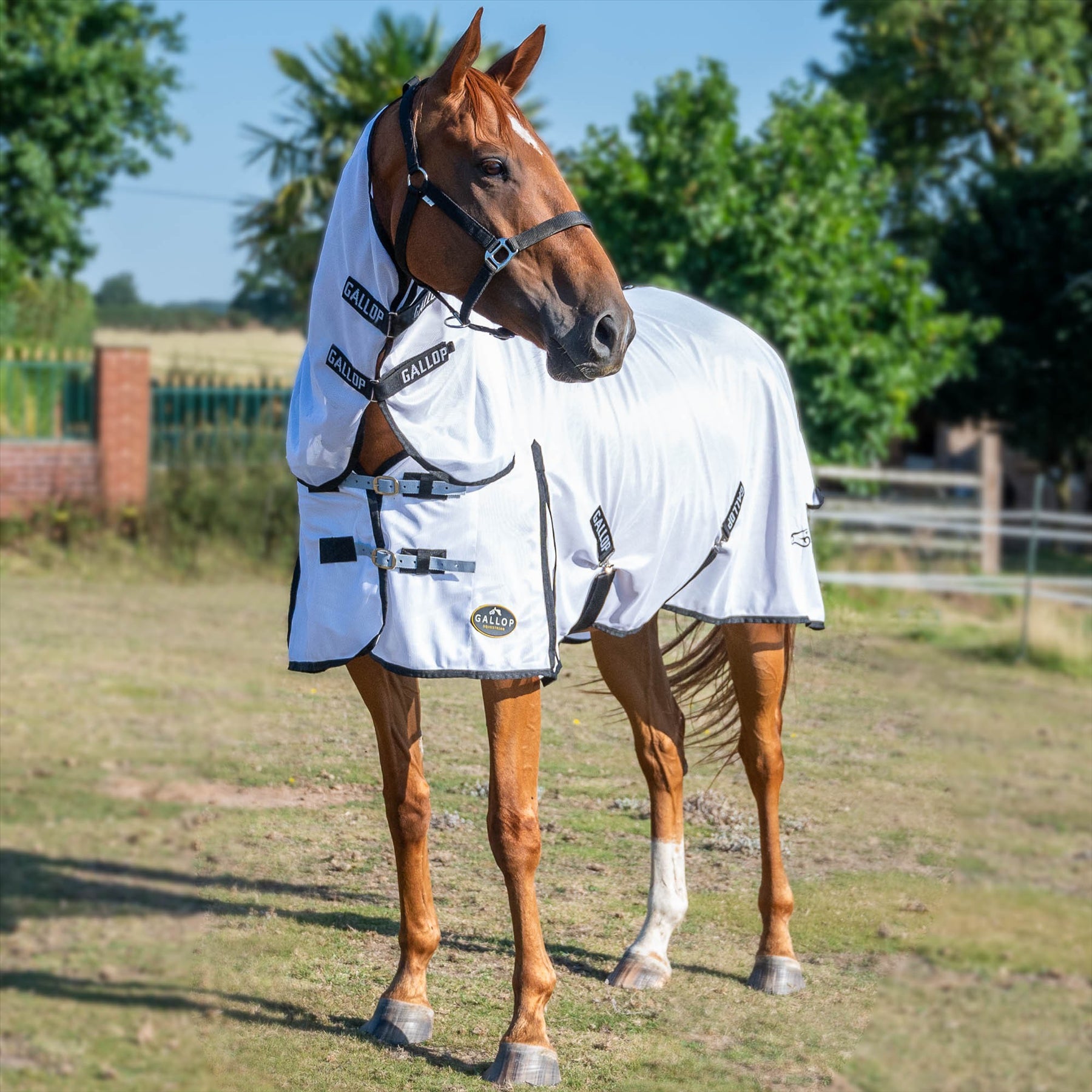 Fly sheets deals for horses