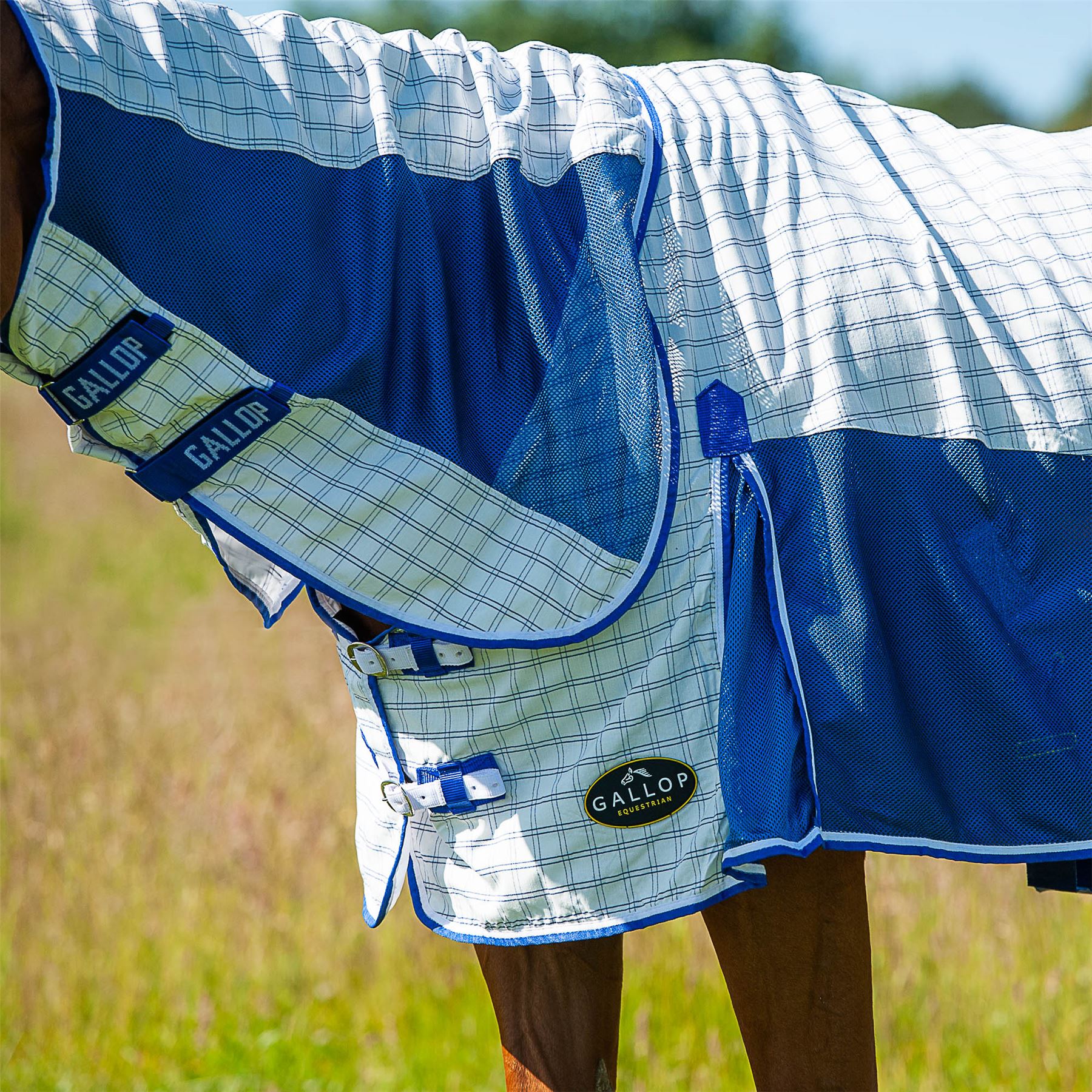 Gallop Equestrian Air Mesh Summer Sheet Combo - Just Horse Riders