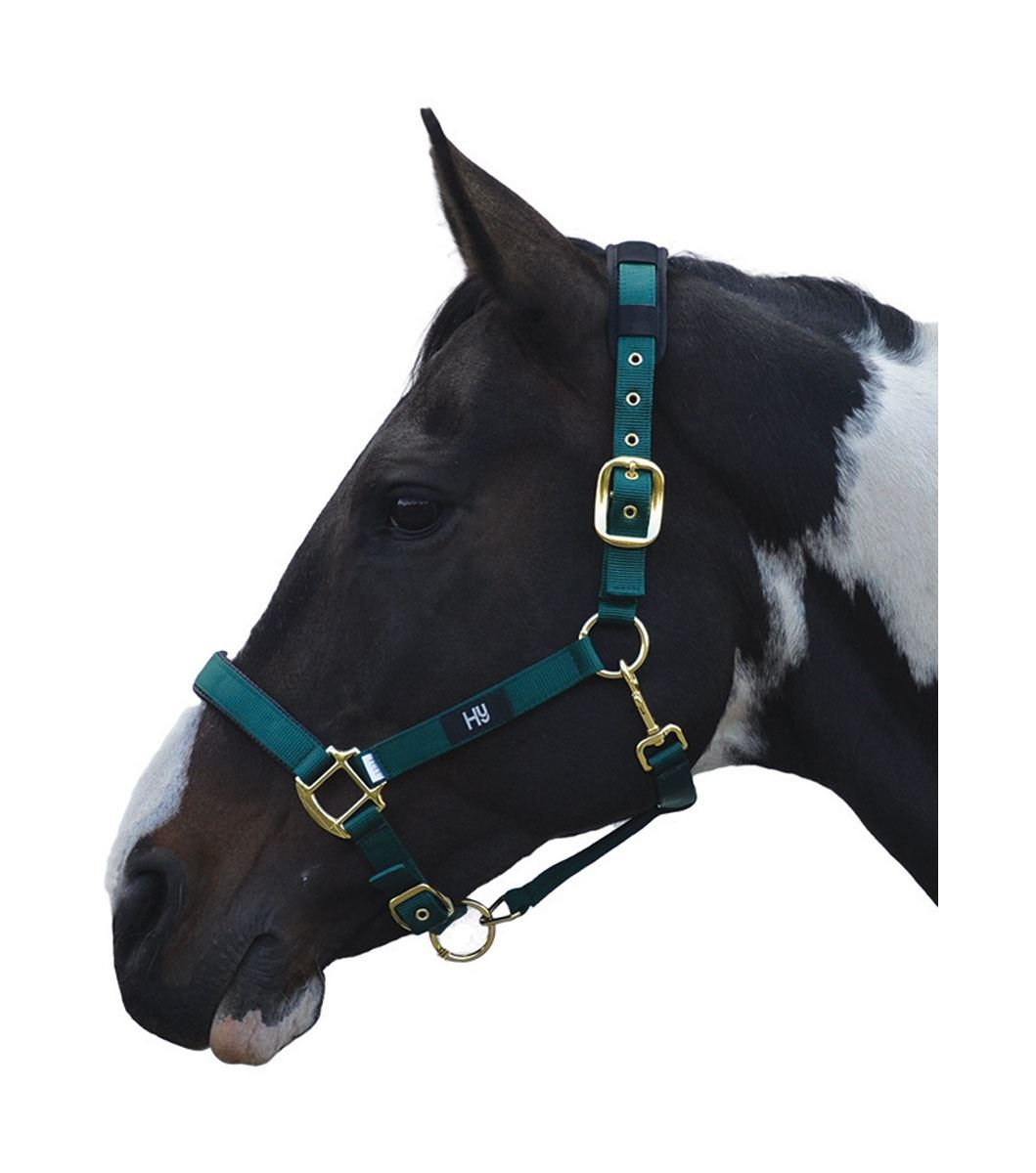 Hy Deluxe Padded Head Collar - Just Horse Riders
