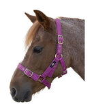 Hy Holly Fully Adjustable Head Collar - Just Horse Riders