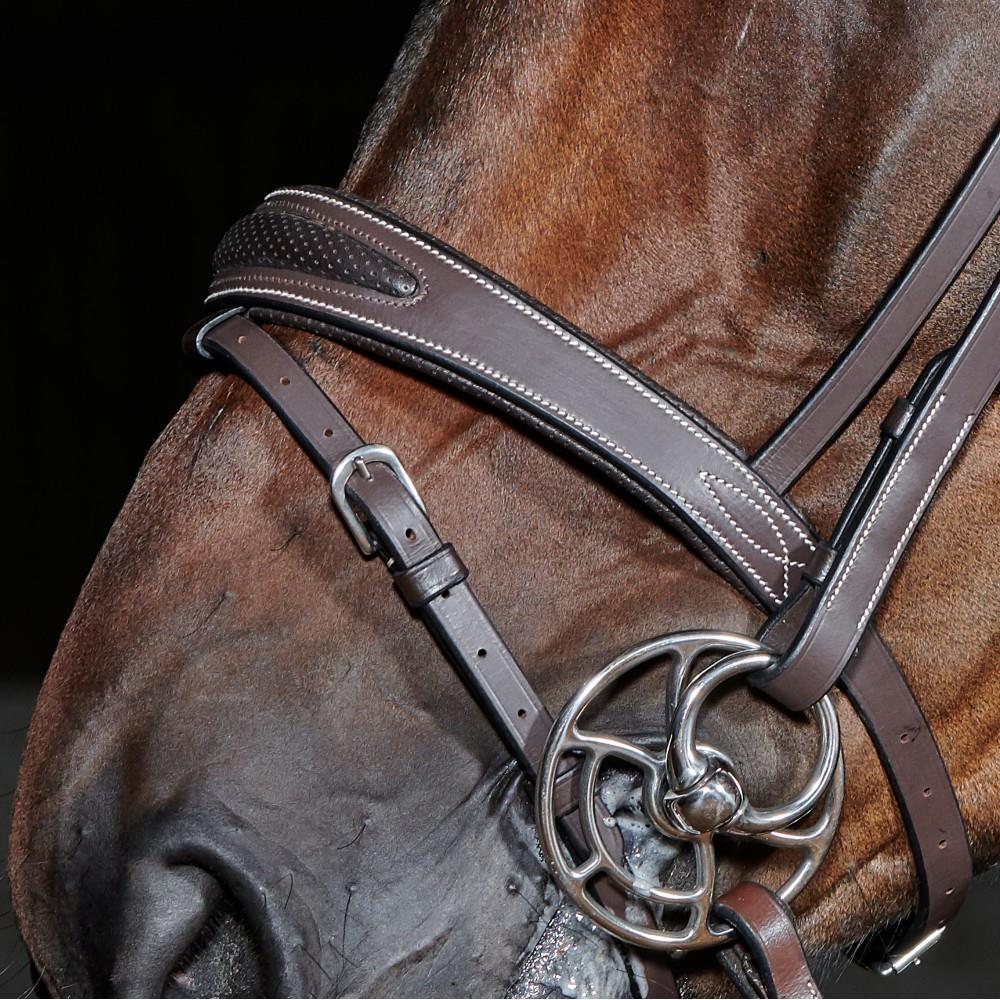 John Whitaker Chicago Perforated Flash Bridle (inc. 9-Loop Rubber Reins) - Just Horse Riders