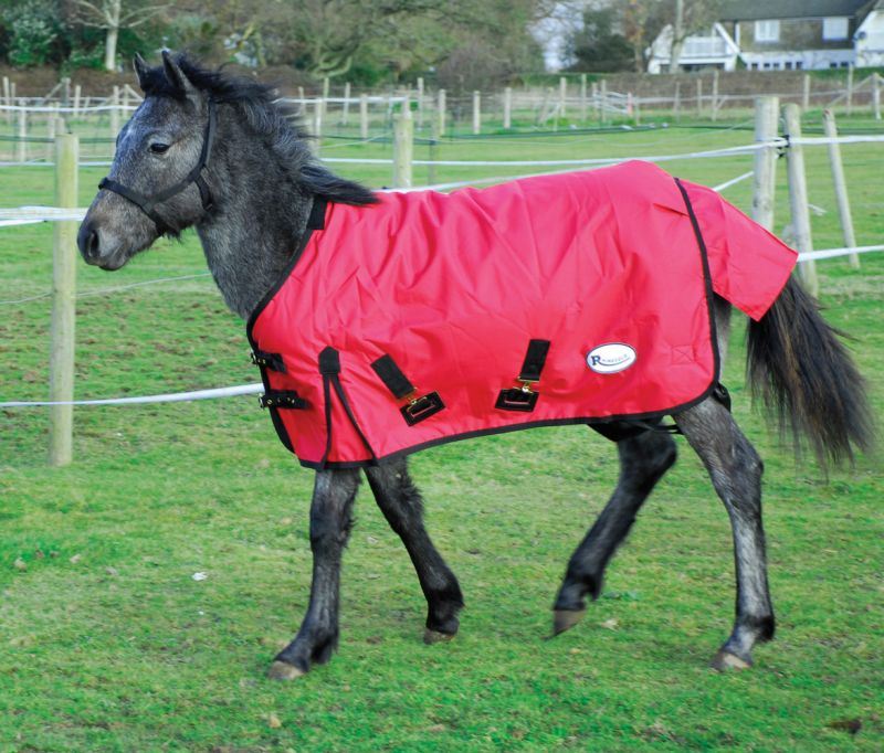 Rhinegold Foal Konig Outdoor Rug - Just Horse Riders