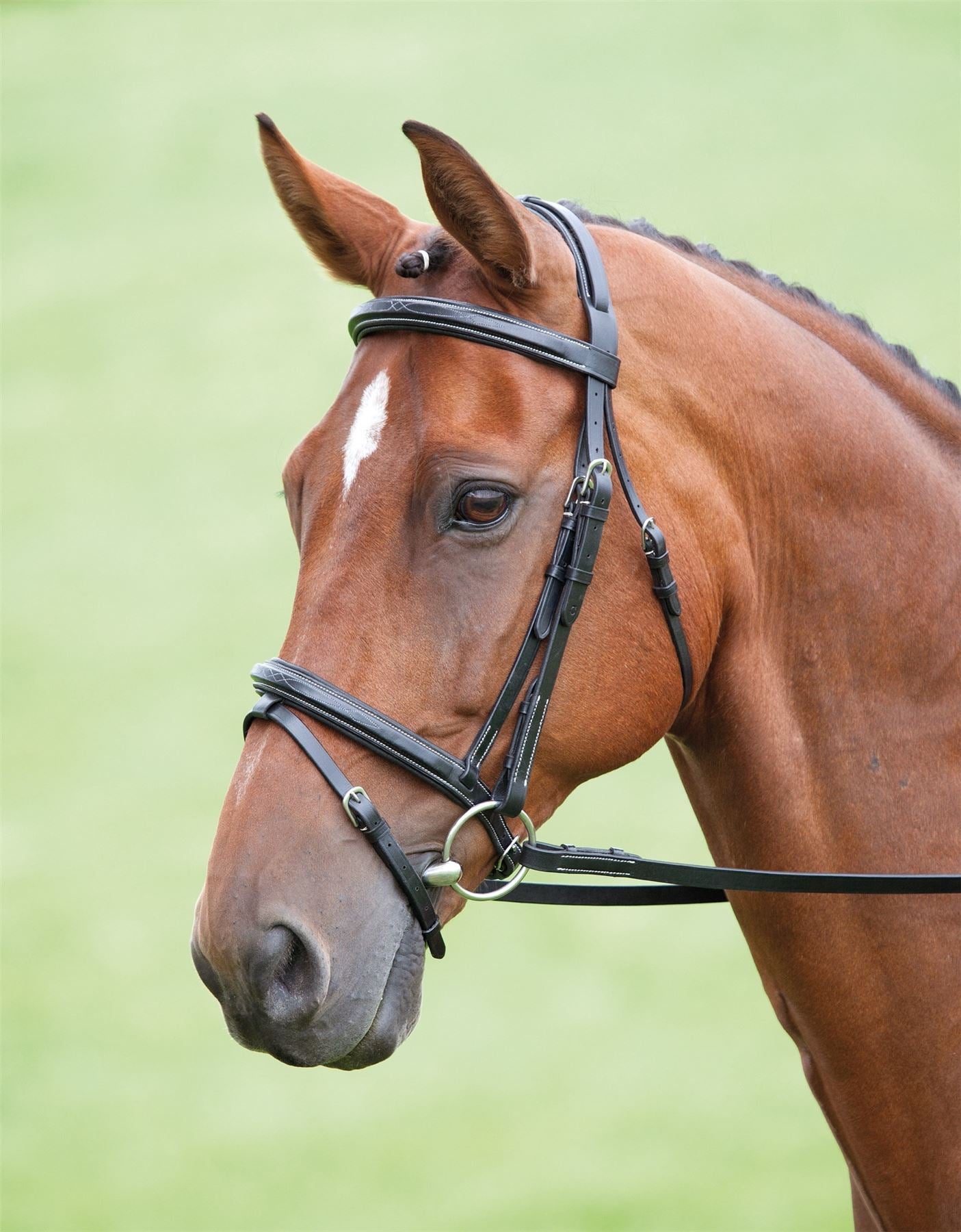 Shires Salisbury Bodenham Bridle - Just Horse Riders