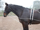 Shires Lunging Aid - Just Horse Riders