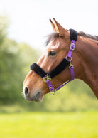 Shires Fleece Lined Headcollar - Just Horse Riders