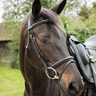 KM Elite Training Bridle - Just Horse Riders