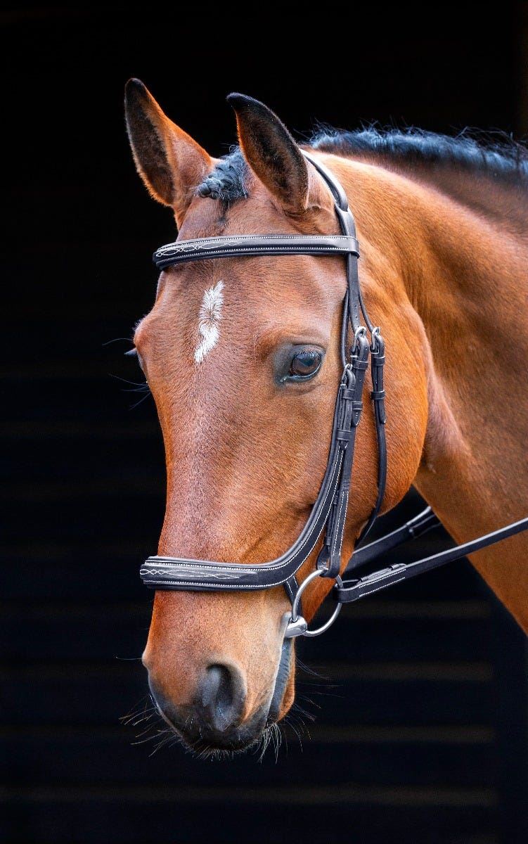 Shires Salisbury Berkeley Bridle - Just Horse Riders