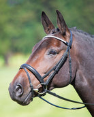 Shires Blenheim Outline Training Aid - Just Horse Riders