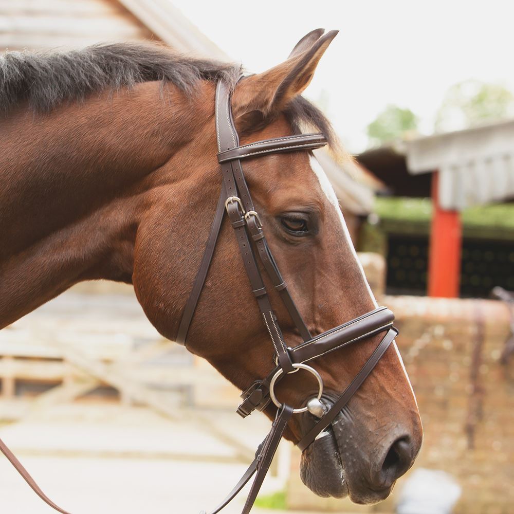 KM Elite Competition Bridle - Just Horse Riders