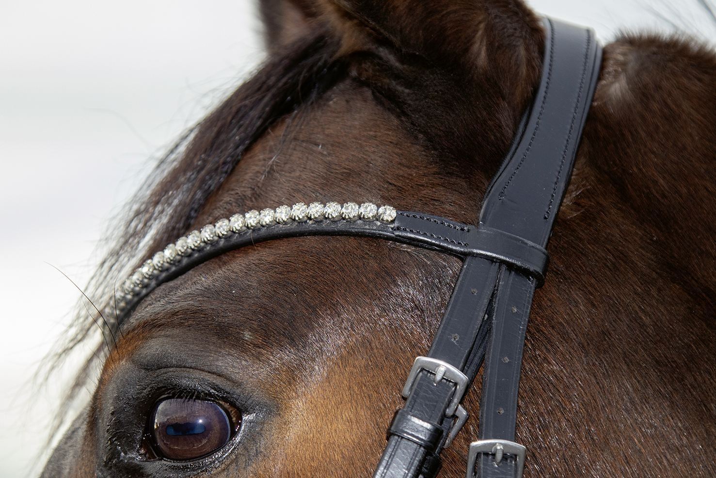 HKM Bridle Melinda - Just Horse Riders