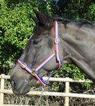 Rhinegold Nylon Headcollar - Just Horse Riders