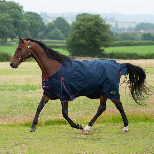 GALLOP EQUESTRIAN TROJAN 50 STANDARD TURNOUT