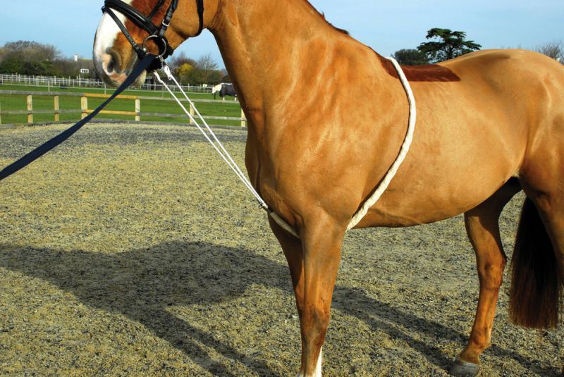 Rhinegold Soft Lunge Aid - Just Horse Riders