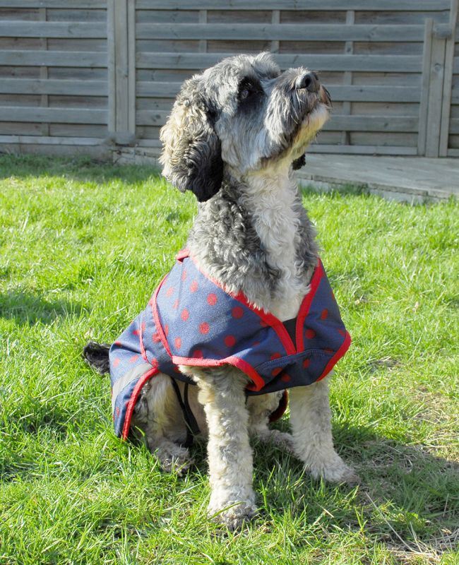 Rhinegold Highland Dog Coat - Just Horse Riders