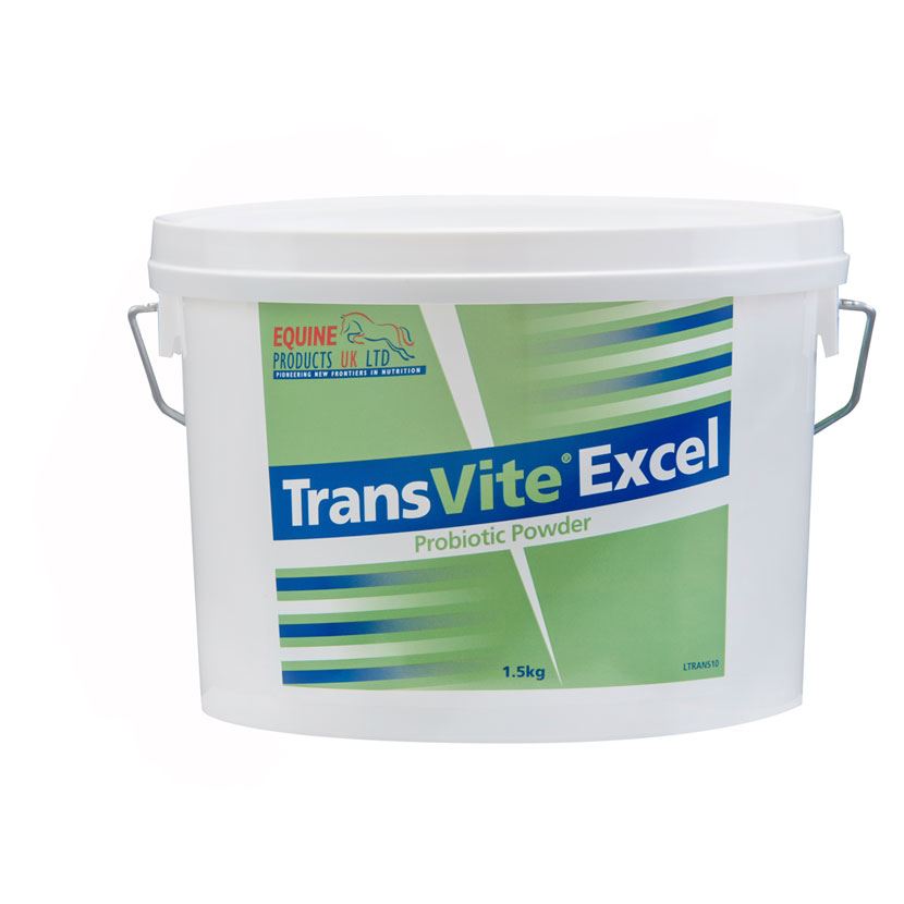 Transvite Excel - Just Horse Riders