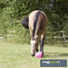 Perry Equestrian 230mm (9) One Piece Moulded Feed Ball / Boredom Breaker" - Just Horse Riders