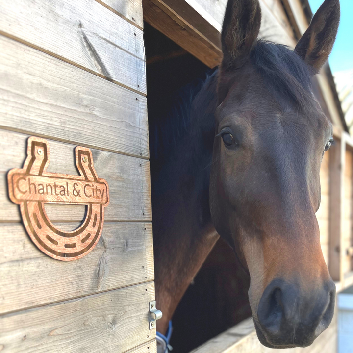 Personalised Wood Horse Shoe & Name Plate - Unique Equestrian Decor