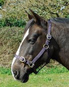 Rhinegold Nylon Headcollar - Just Horse Riders