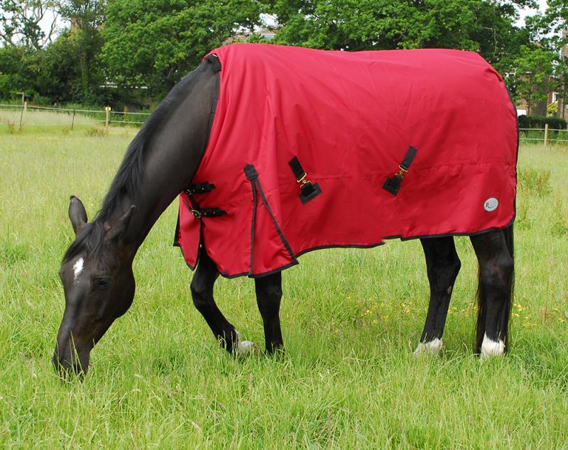 Rhinegold Konig Outddor Rug - Just Horse Riders