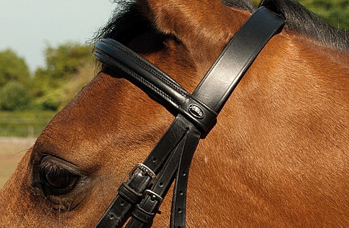 Heritage Plain Bridle - Just Horse Riders